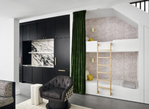 Elmwood Basement - Boomgaarden Architects